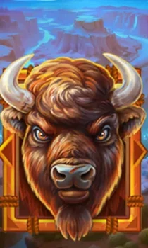 Buffalo Gold Canyon